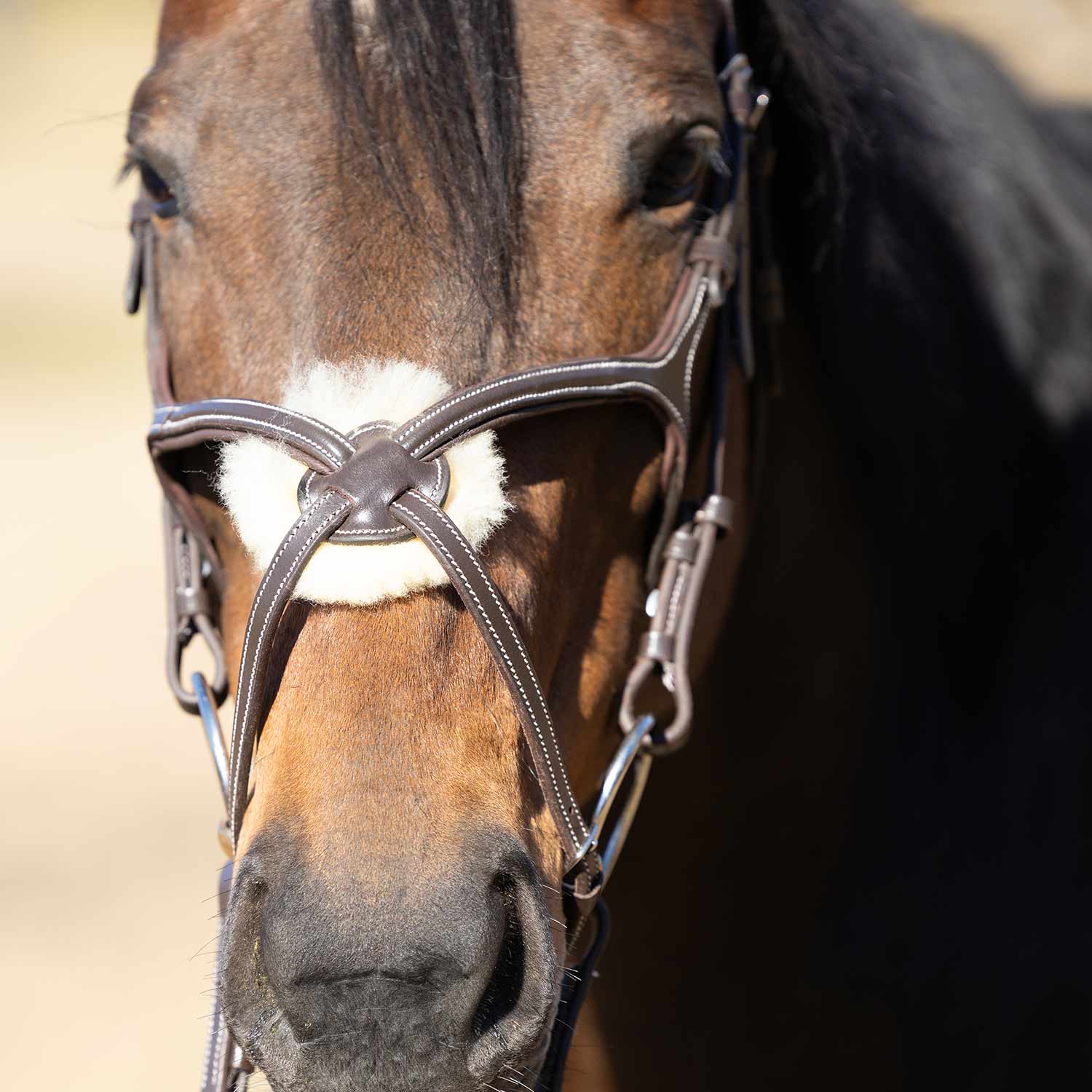 Jeffers Uniquely English Hickstead Figure-8 Bridle with Web Reins for Horses - Image 7