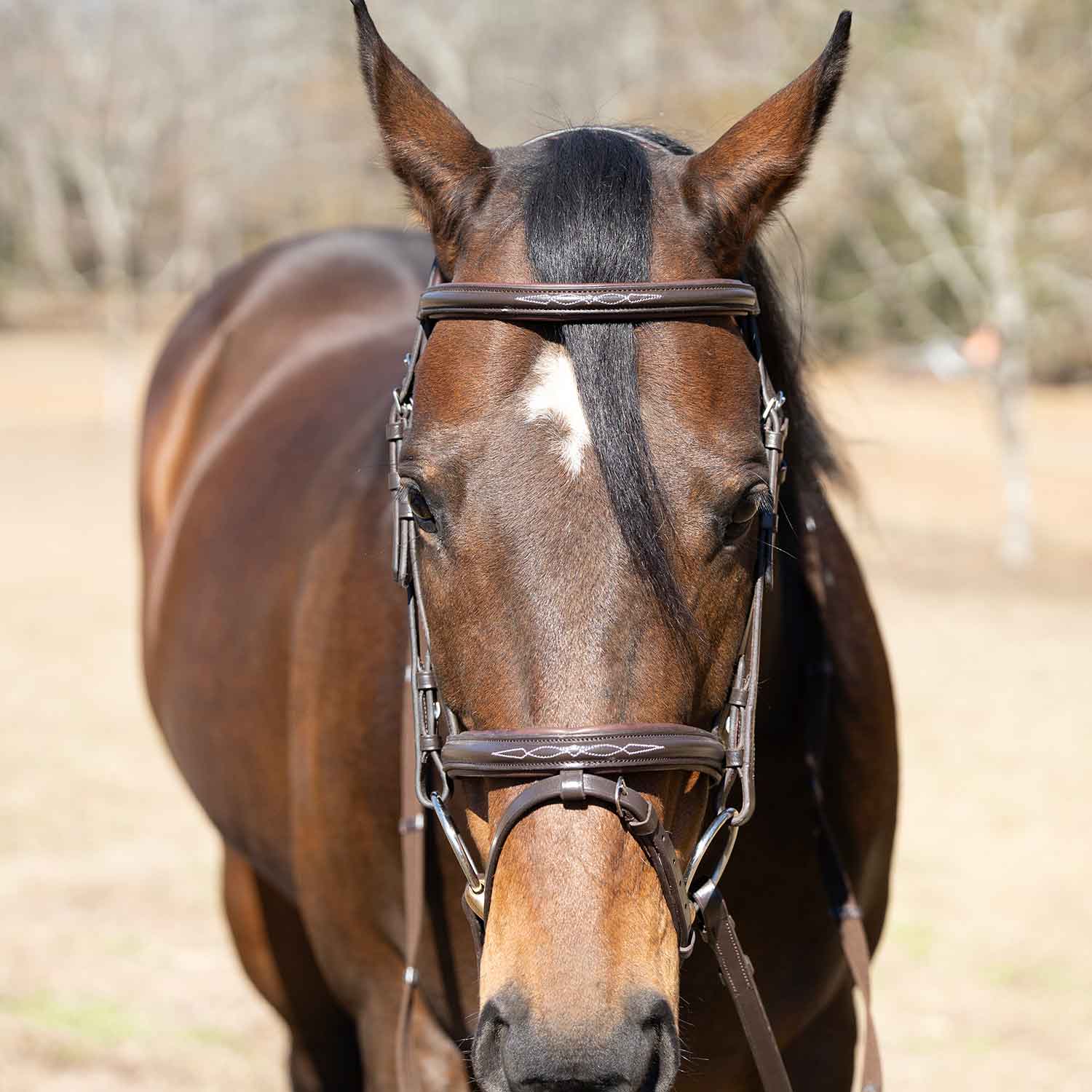 Jeffers Uniquely English "Kentucky" Fancy Stitched Leather Jumping Bridle for Horses - Image 2