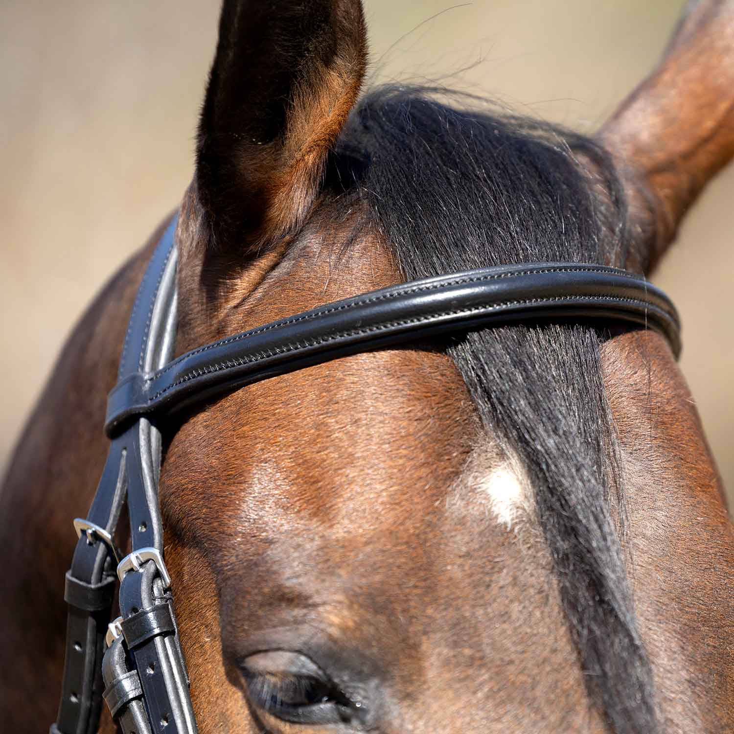 Jeffers Uniquely English "Windsor" Leather Dressage Bridle With Web Reins for Horses - Image 7