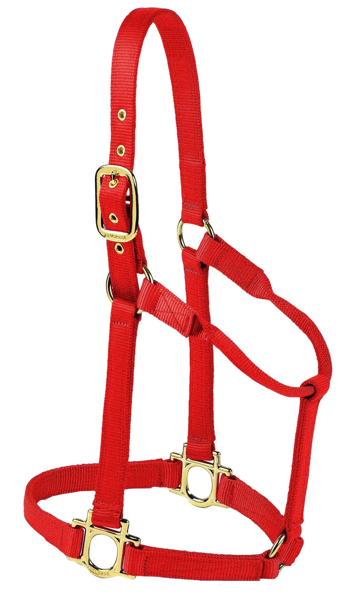 Valhoma Premium Nylon Halter - Image 3
