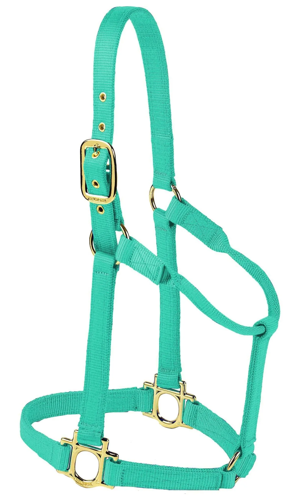 Valhoma Premium Nylon Halter - Image 7