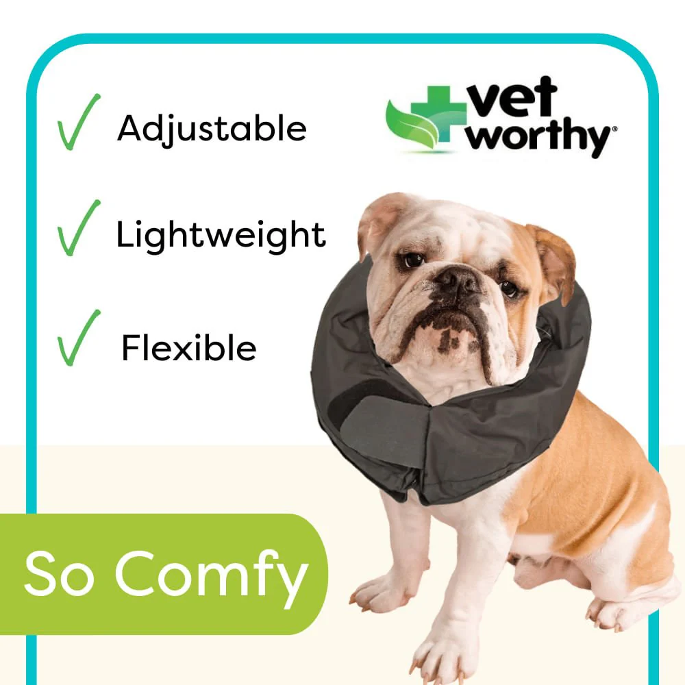 Vet Worthy Inflatable Collar, Black - Image 2