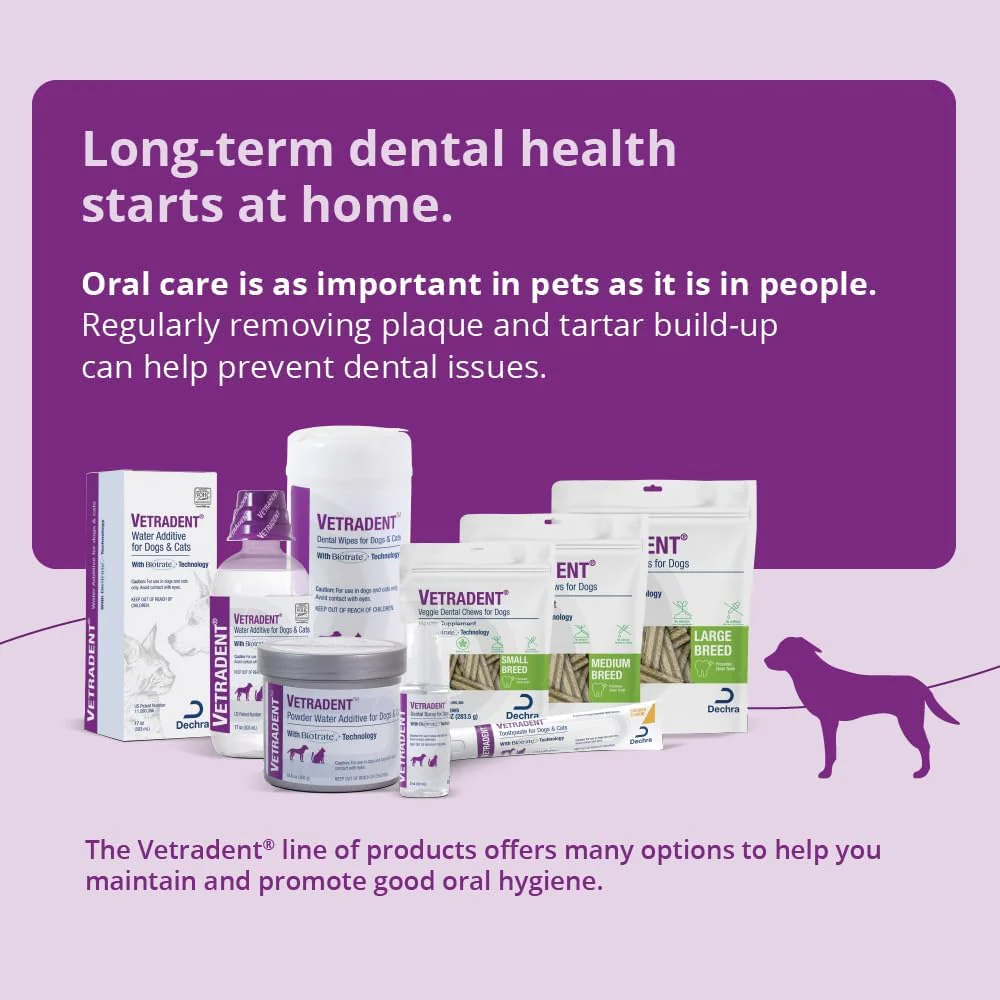Vetradent Veggie Dental Chews for Dogs – Plaque & Tartar Control, Fresh Breath, Daily Oral Care Treats - Image 5