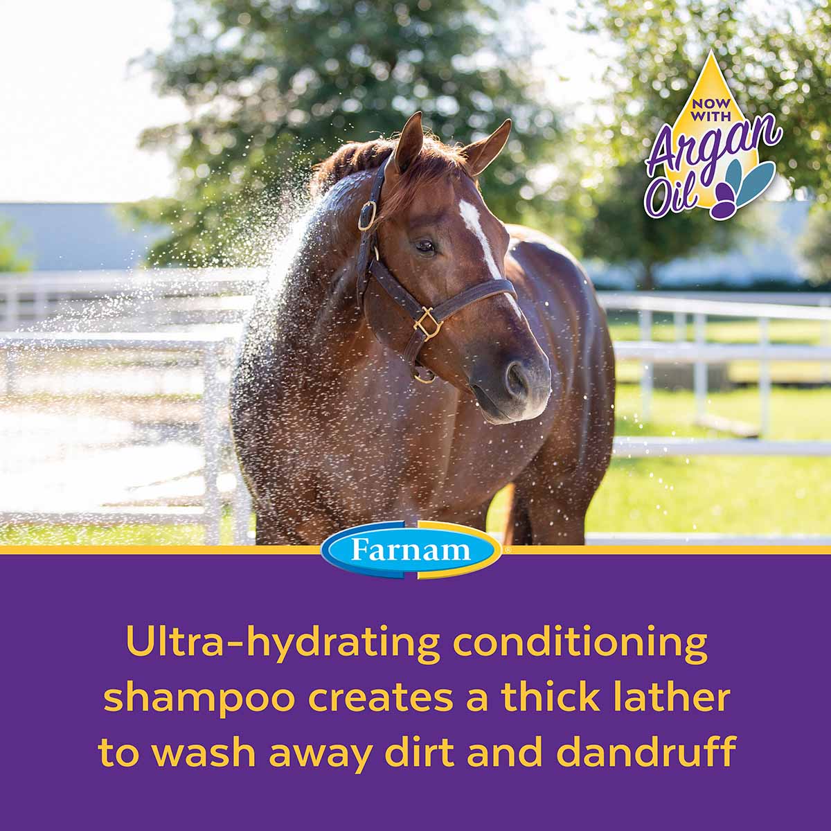 Vetrolin Bath Conditioning Shampoo for Dogs & Horses - Image 5
