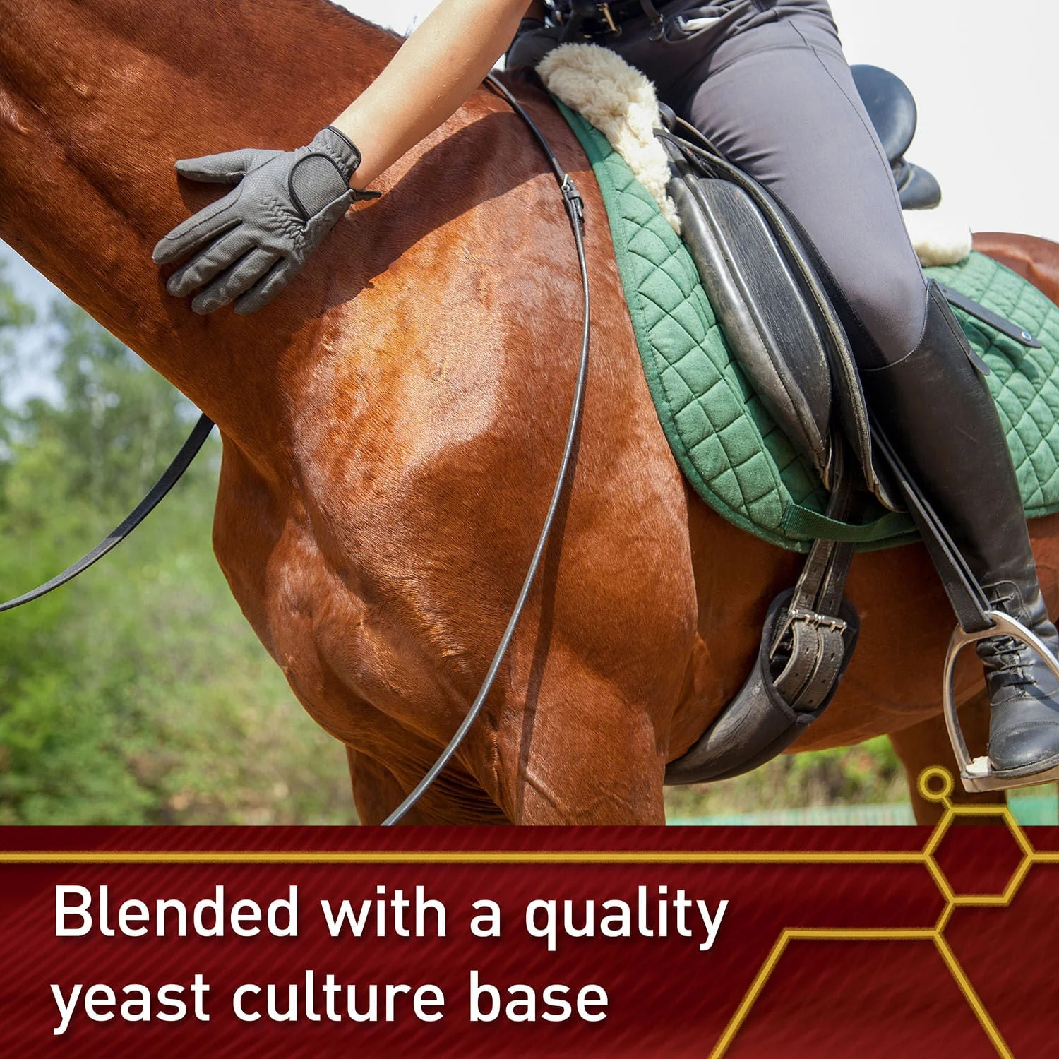 Vita Flex E and Selenium Supplement for Horses, Balanced Essential Antioxidants - Image 6