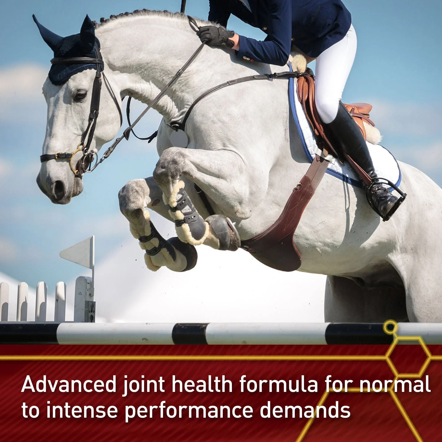 Vita Flex Equinyl Combo Joint Formula Horse Joint Supplement, 60 Day Supply - Image 4
