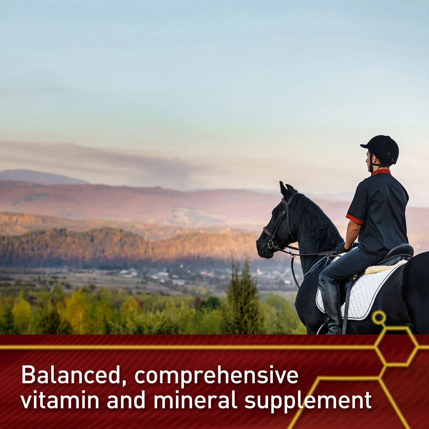 Vita Flex Pro Accel Health & Wellness Formula, Supplement for Horses - Image 7