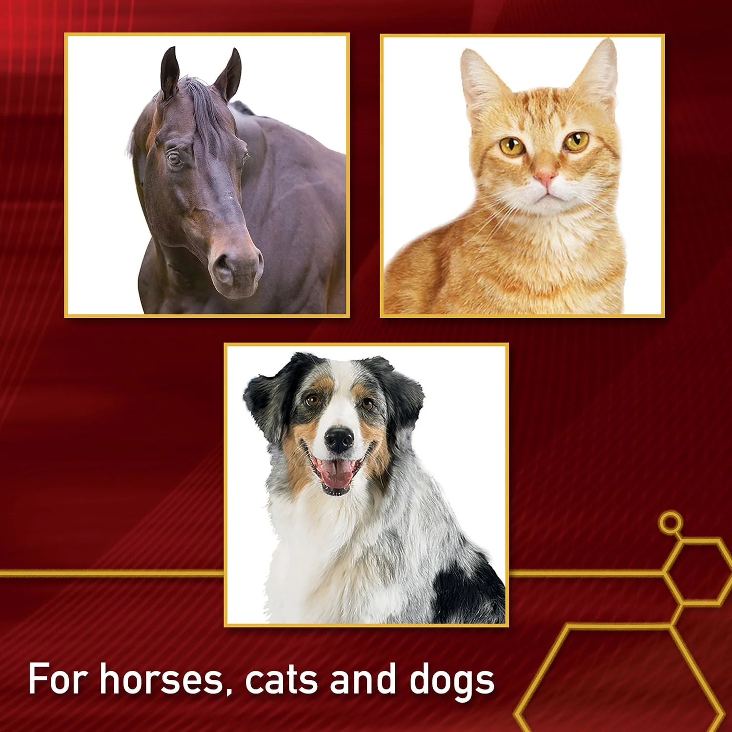 Vita Flex Pro MSM Quality Joint Supplement for Horses, Dogs and Cats - Image 7