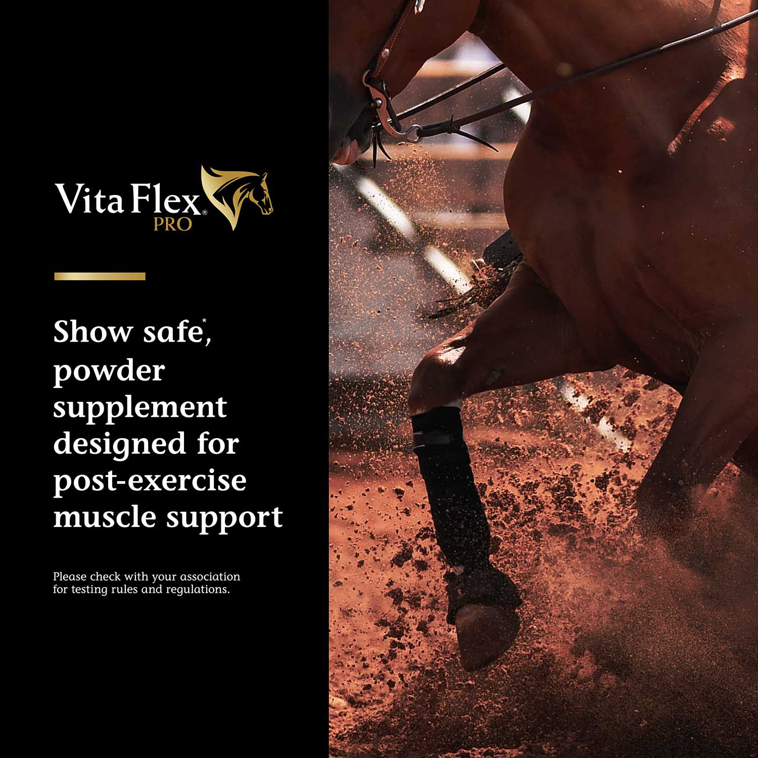 Vita Flex Pro Recovery Post Performance Supplement, Single Serve Packet - Image 3