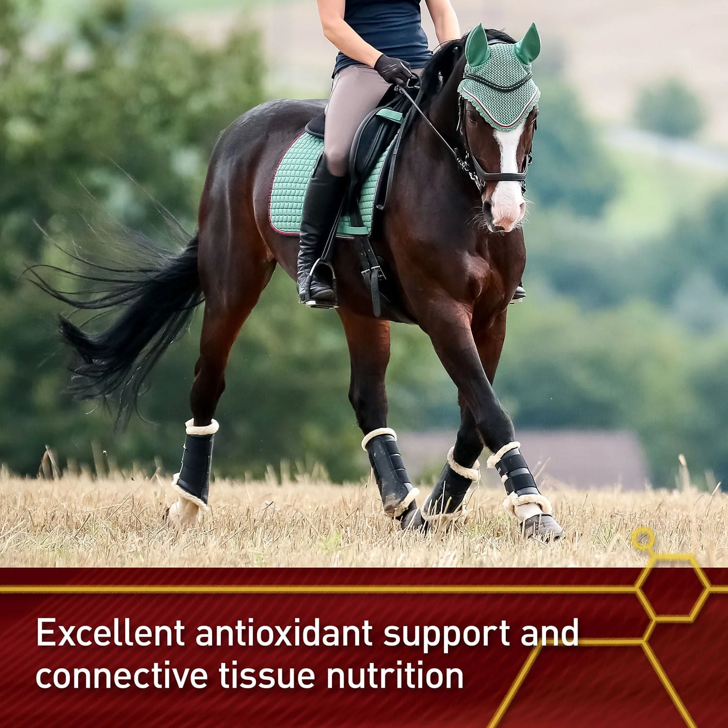 Vita Flex Pure C Premium Quality Vitamin C for Horses, 128 Day Supply - Image 4