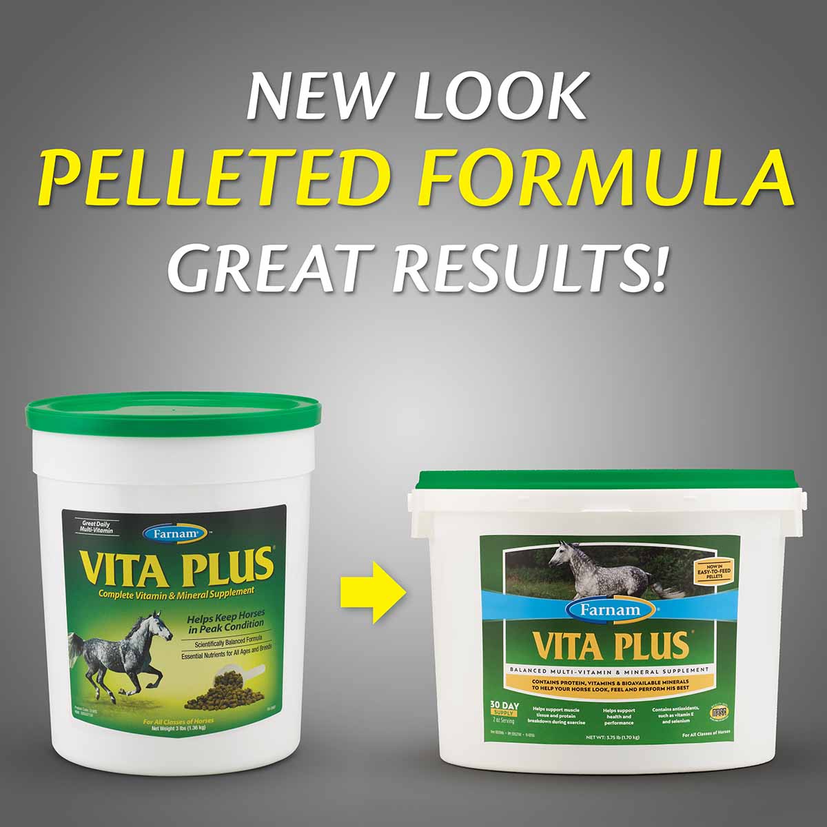 Vita Plus Balanced Vitamin & Mineral Supplement - Image 6