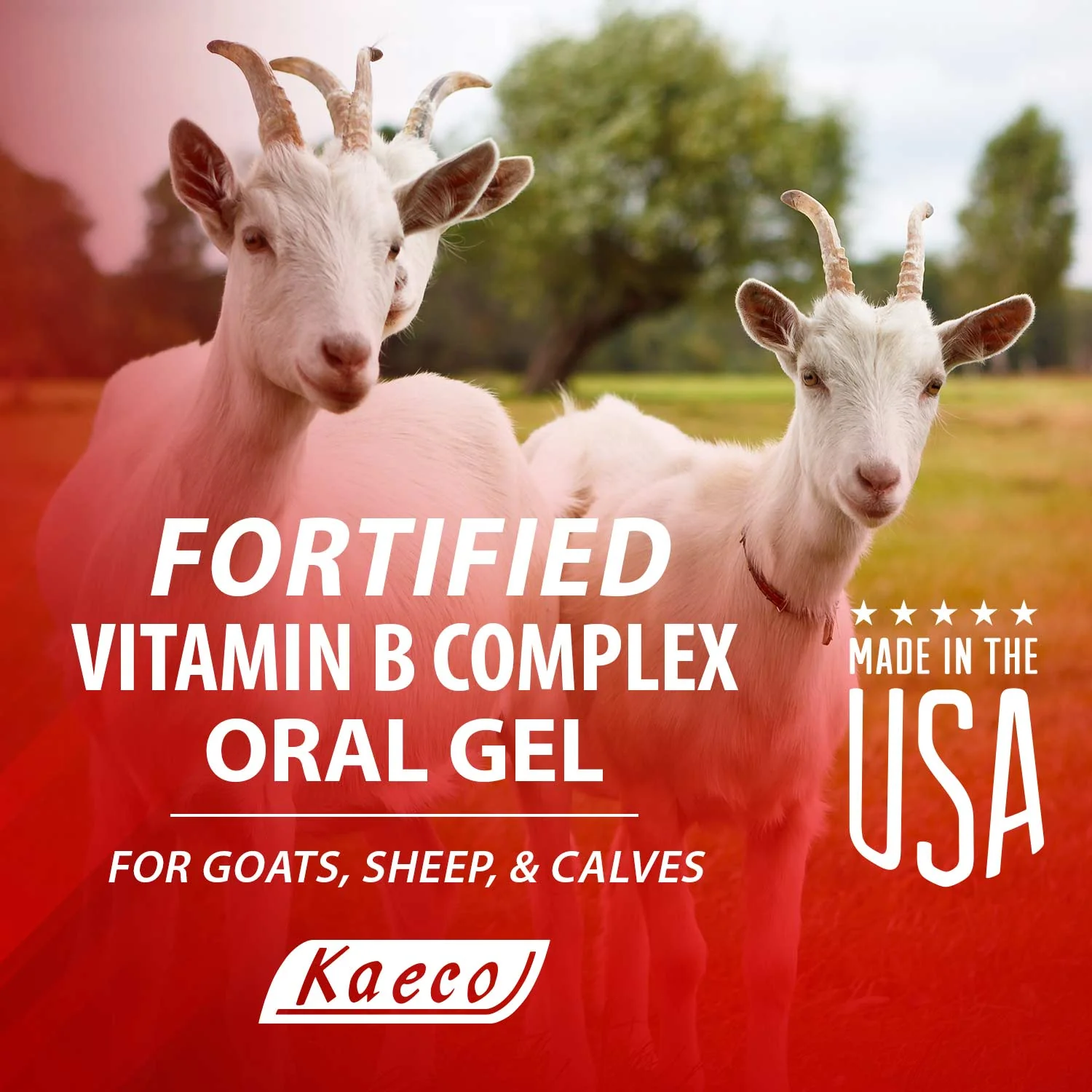 Fortified Vitamin B Complex Gel for Goats, Sheep & Calves, 30 g - Image 4