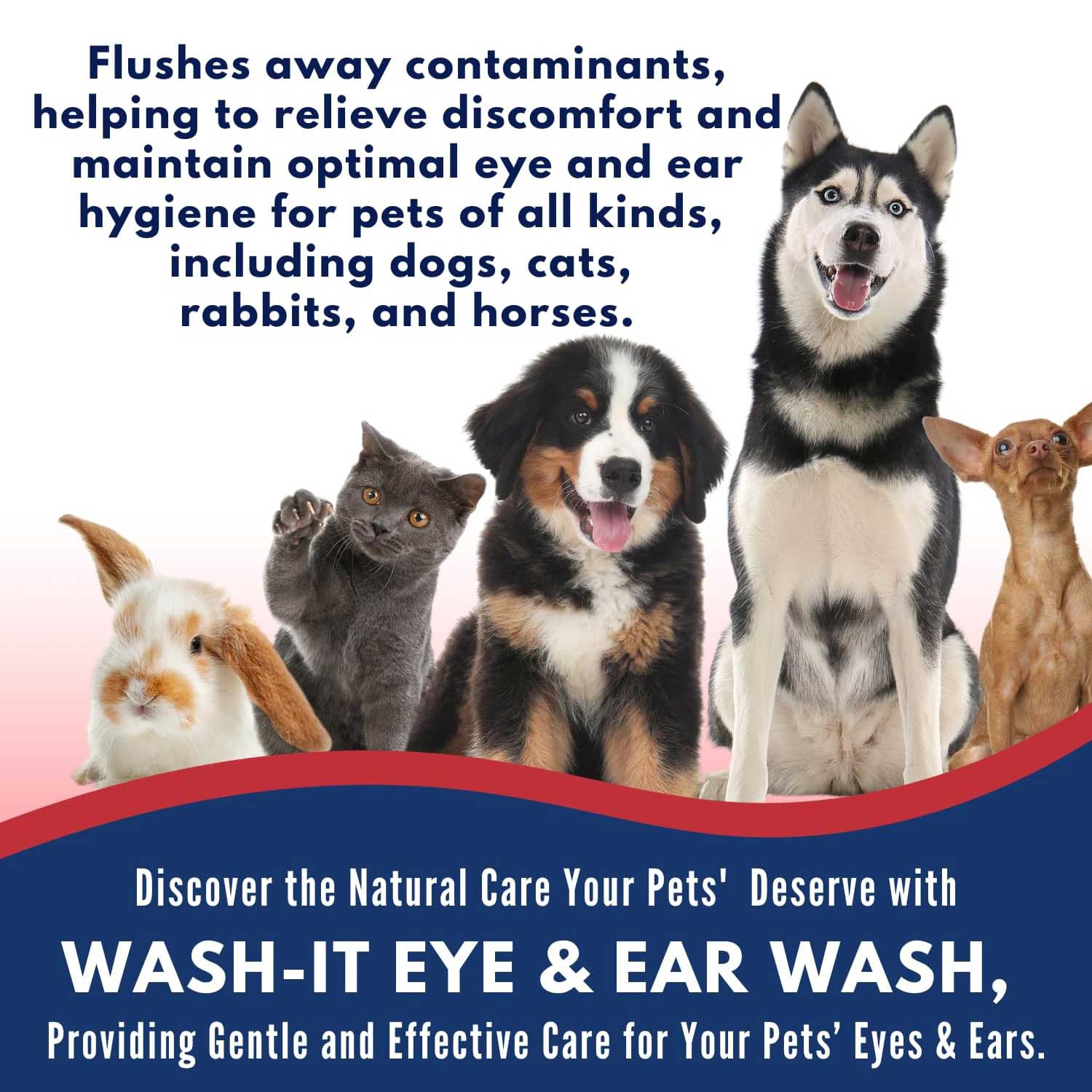 Wash It Eye & Ear Wash, 4 oz - Image 4