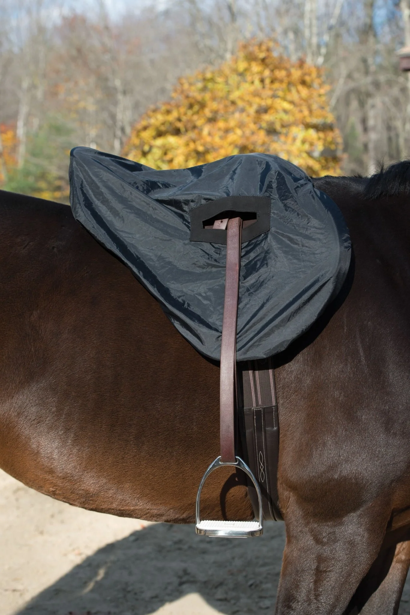 Shires Waterproof Saddle Cover for Horses - Image 3