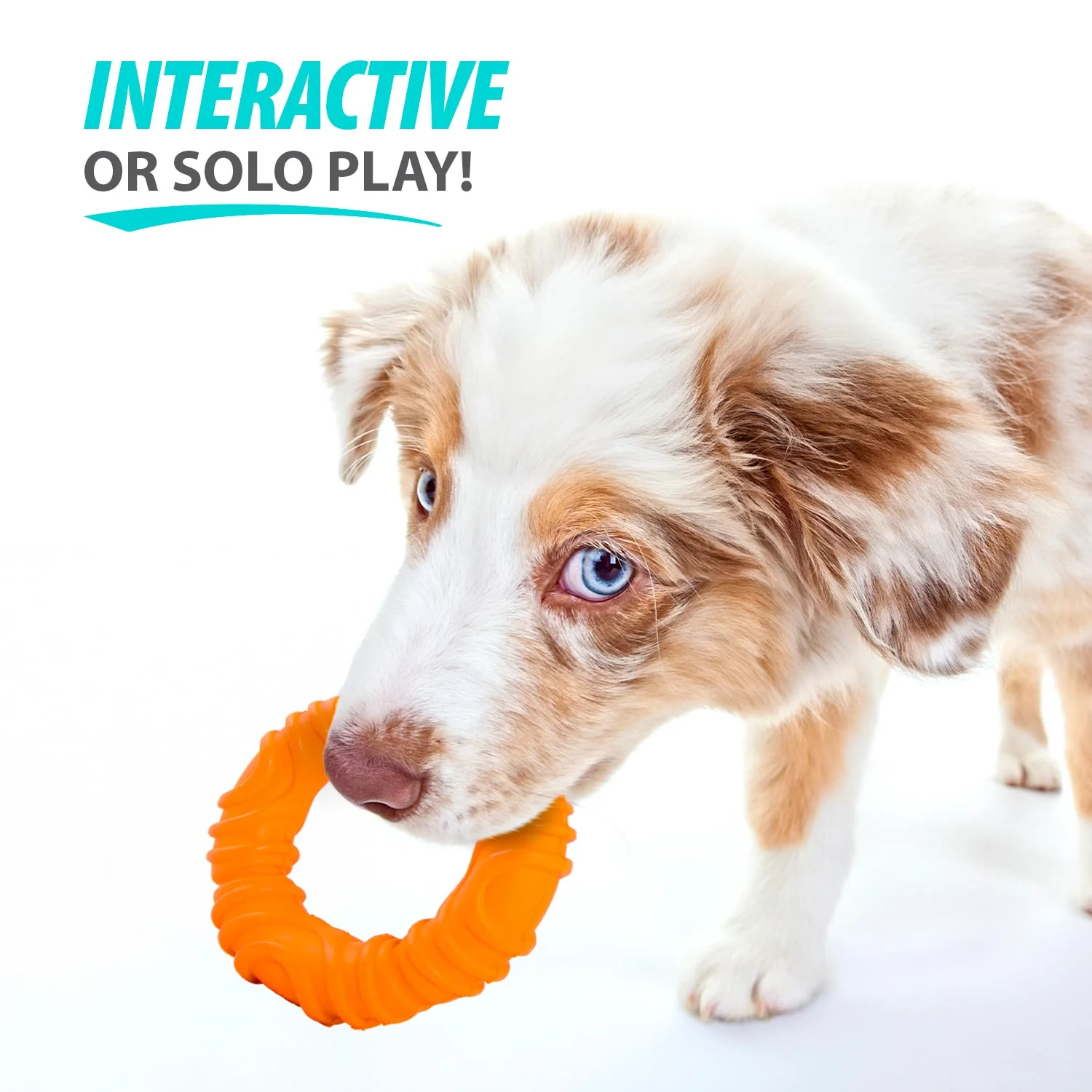 Jeffers Wavy Ring Tugger Natural Rubber Dog Chew Toy for Tug, Fetch & Dental Support - Image 5