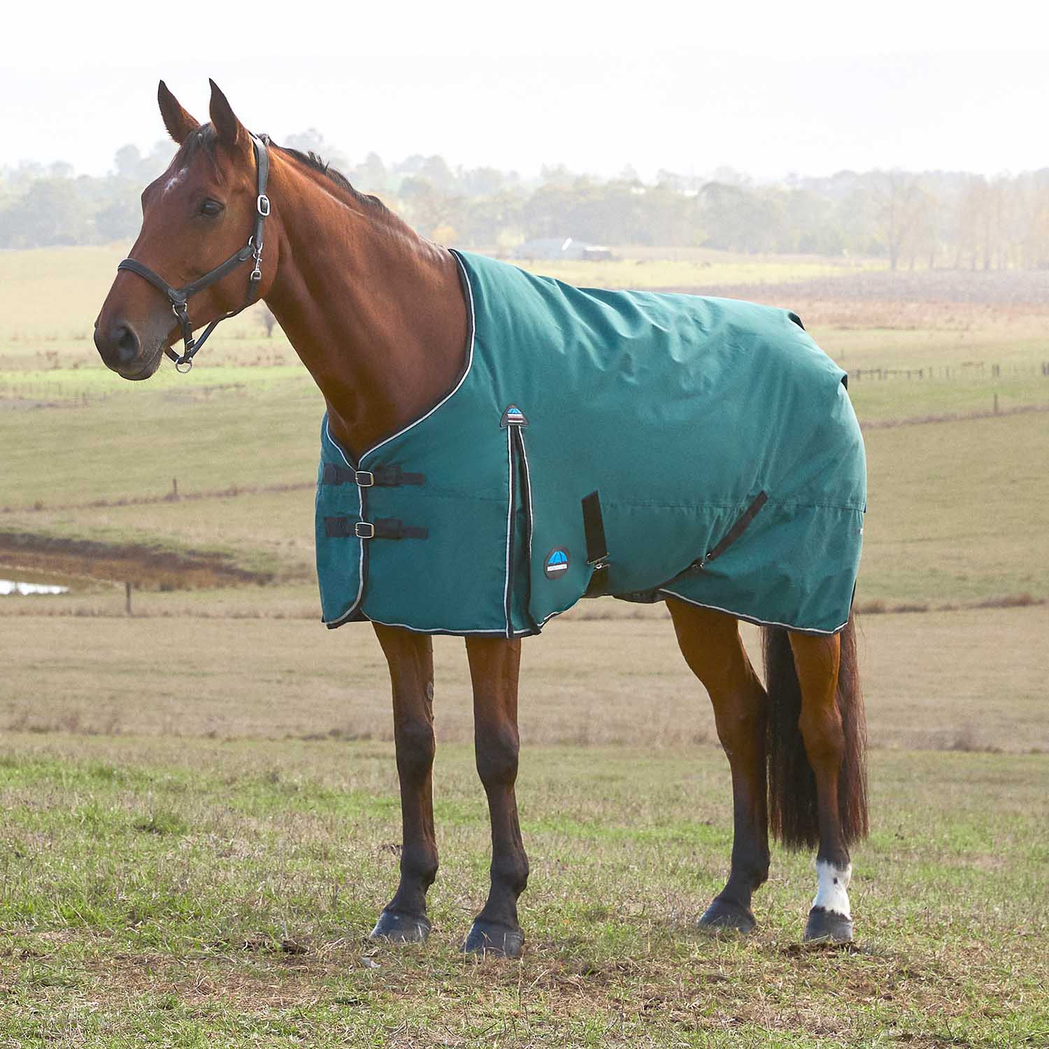 WeatherBeeta ComFiTec Classic Standard Neck Medium-Weight Turnout Blanket for Horses, 220g - Waterproof, Breathable & Durable