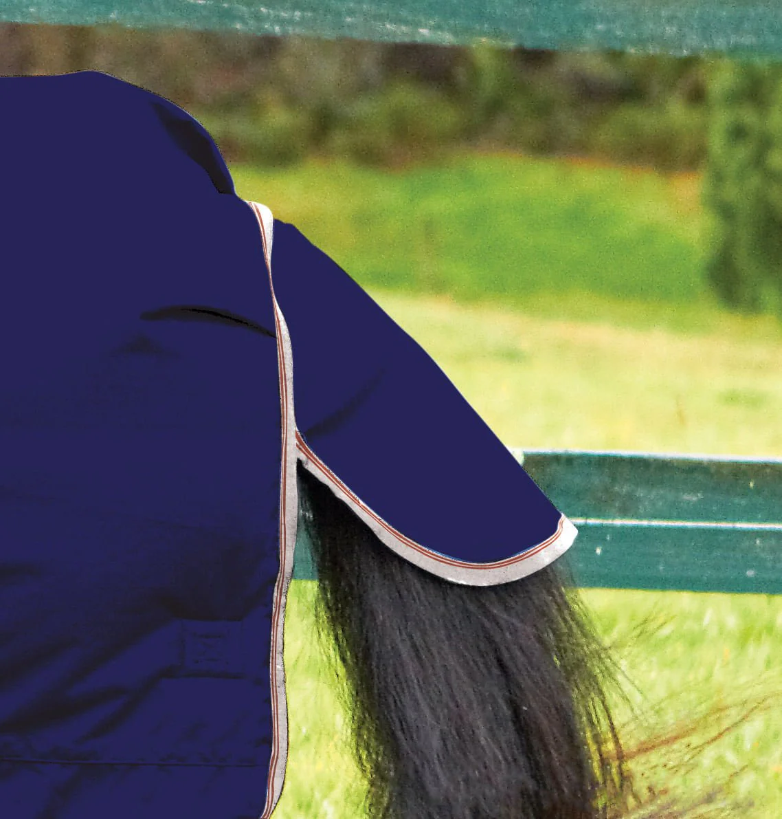 WeatherBeeta ComFiTec Essential Combo Neck Medium Weight Horse Blanket, 1200D, 220 Gram - Image 2