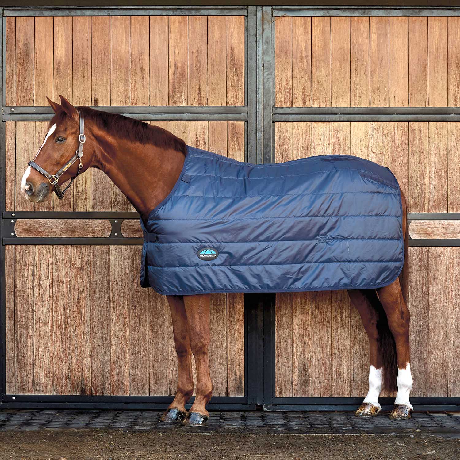 WeatherBeeta ComFiTec Liner Standard Neck, Medium Weight 200g - Warm, Secure, and Layerable Horse Blanket Liner