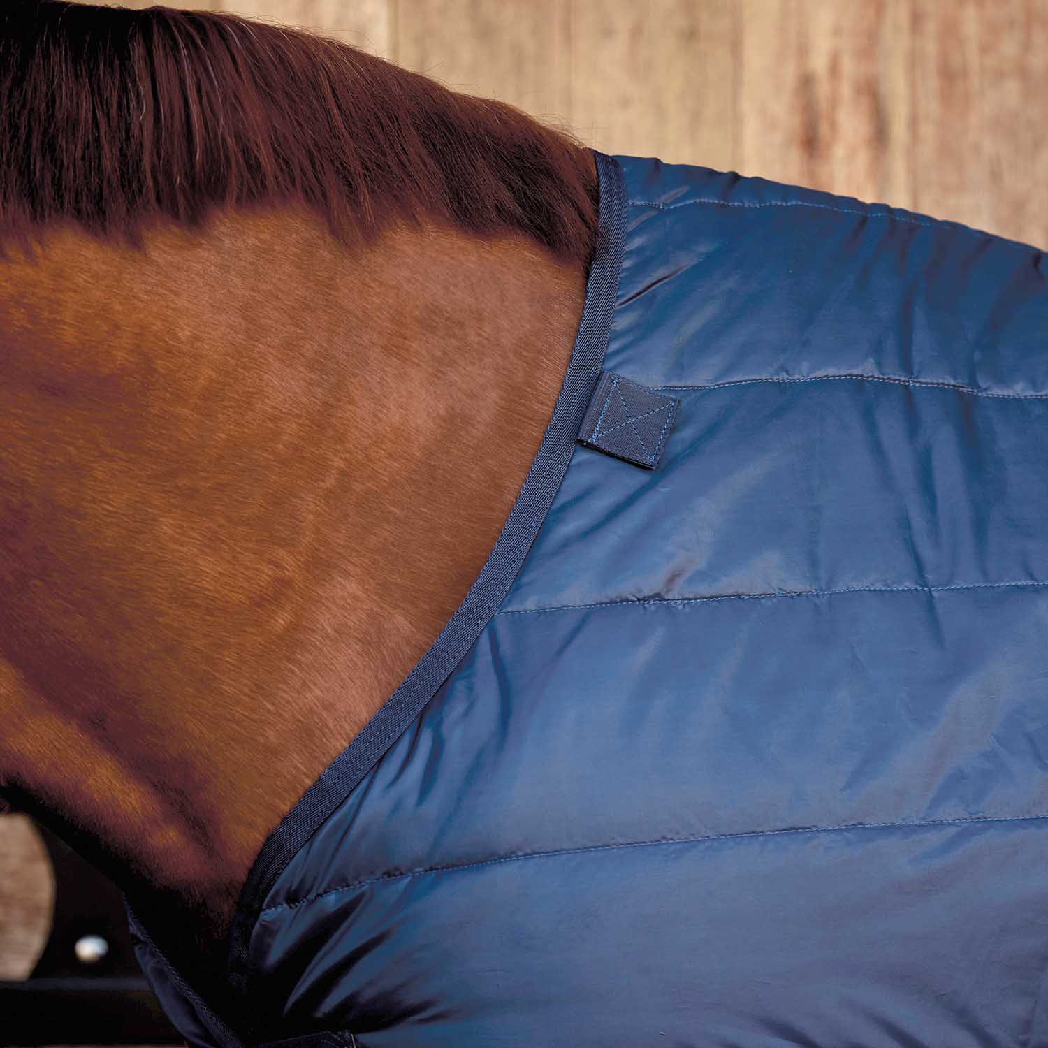 WeatherBeeta ComFiTec Liner Standard Neck, Medium Weight 200g - Warm, Secure, and Layerable Horse Blanket Liner - Image 3