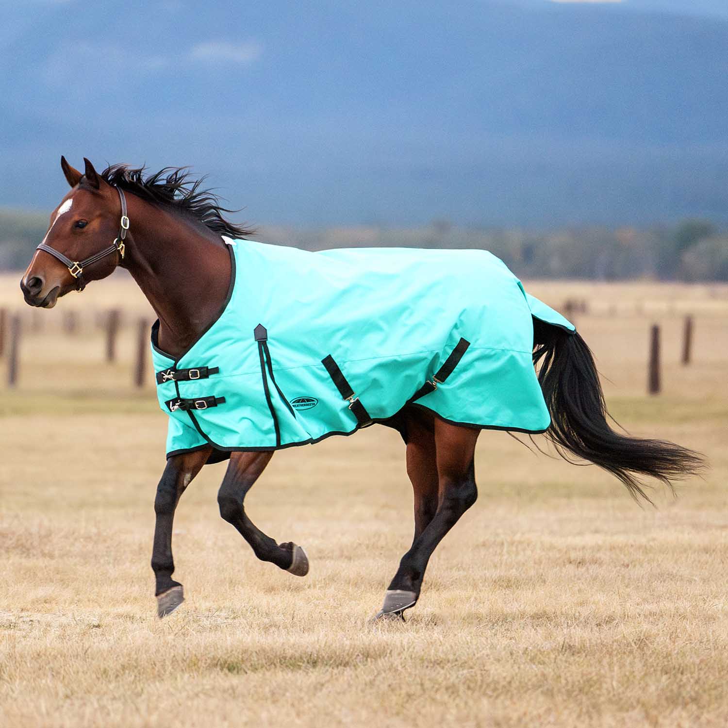 WeatherBeeta ComFiTec Original 1200D Waterproof Standard Neck Medium Weight Turnout Blanket for Horses, 220g - Image 7