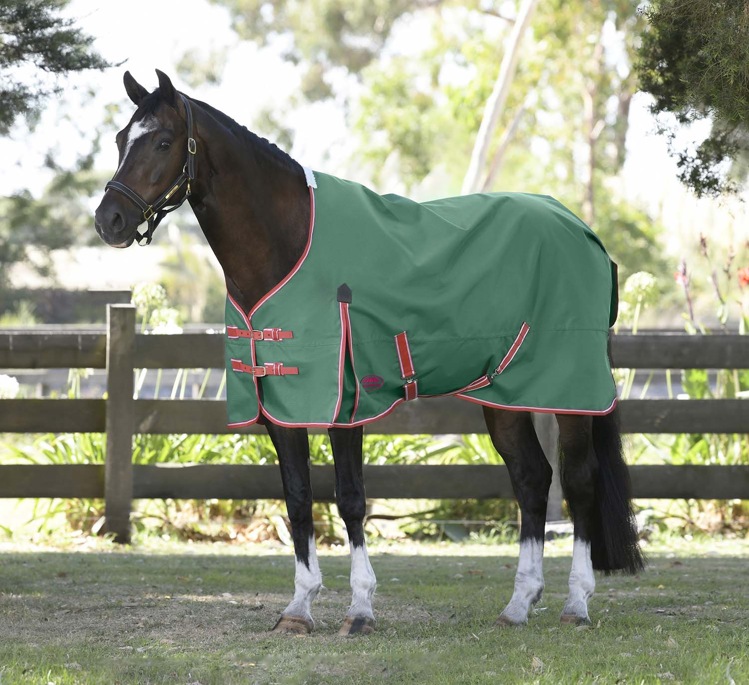 WeatherBeeta ComFITec Prelim Standard Neck Horse Turnout Blanket, Medium Weight, 1200D, 220 Gram