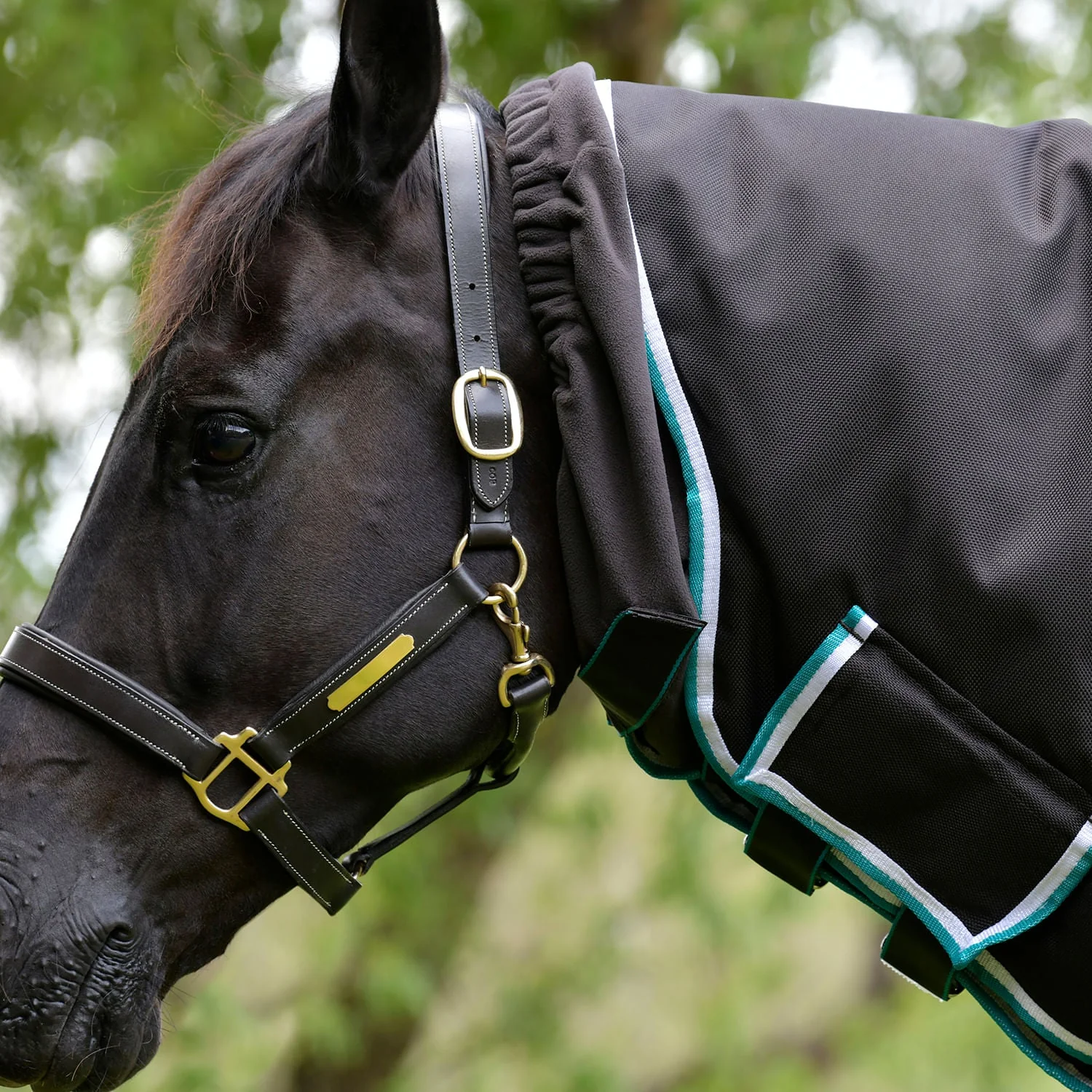 WeatherBeeta ComFITec Ultra Cozy III Detach-a-Neck Heavy Horse Blanket, 1800D, 360 Grams - Image 3