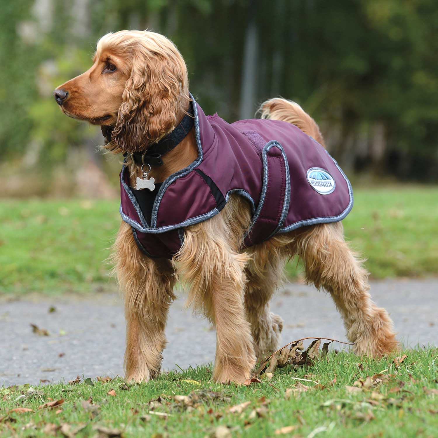 WeatherBeeta ComFITec Windbreaker Free Deluxe Dog Coat, Maroon/Gray/White - Image 2