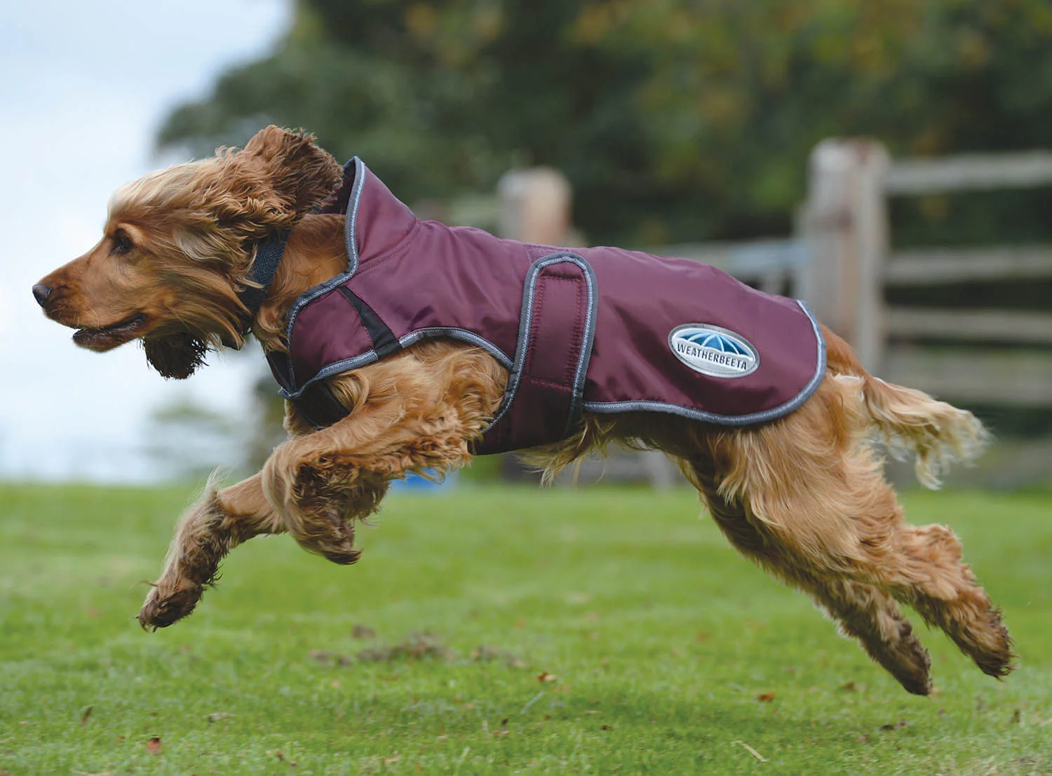 WeatherBeeta ComFITec Windbreaker Free Deluxe Dog Coat, Maroon/Gray/White - Image 3