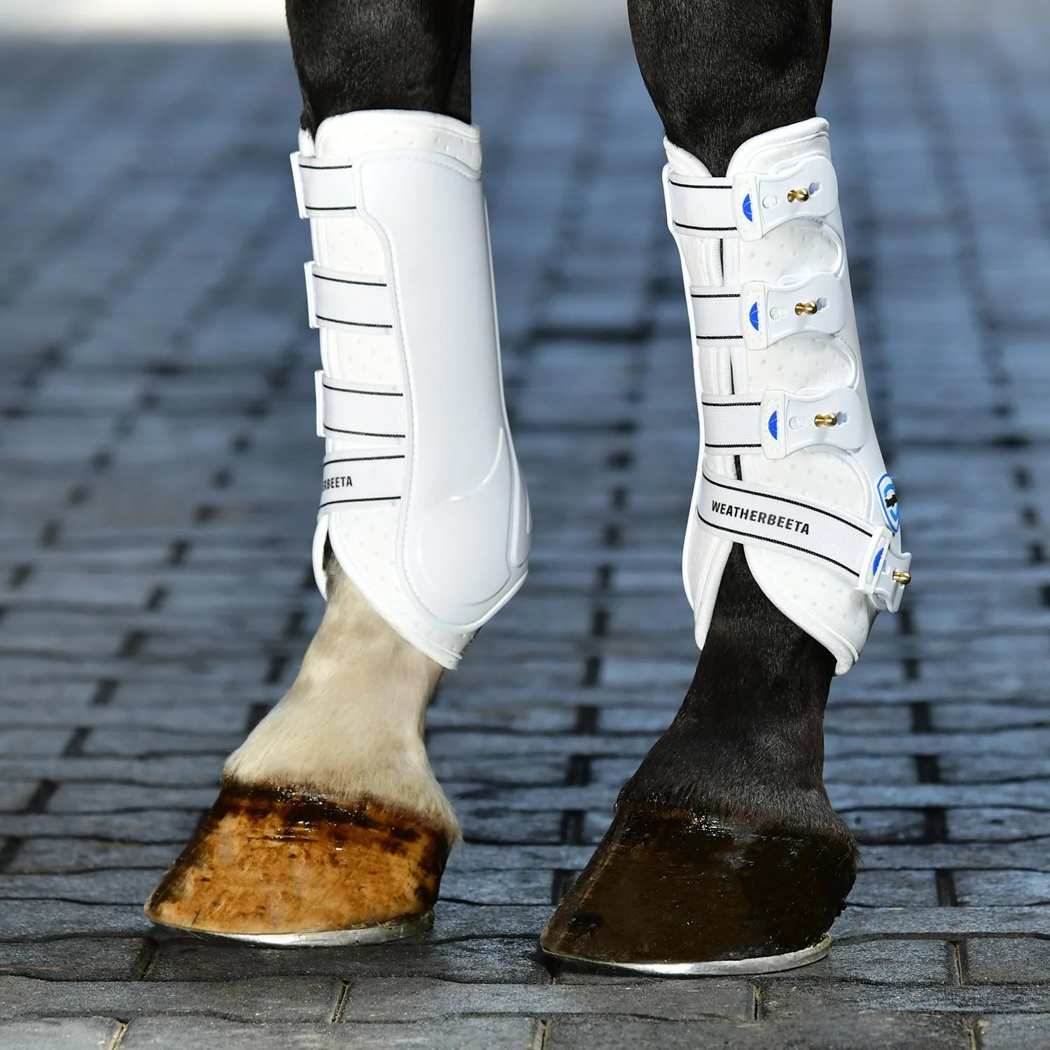 WeatherBeeta Tough-Tec Hard Shell Dressage Boots for Horses - Image 12