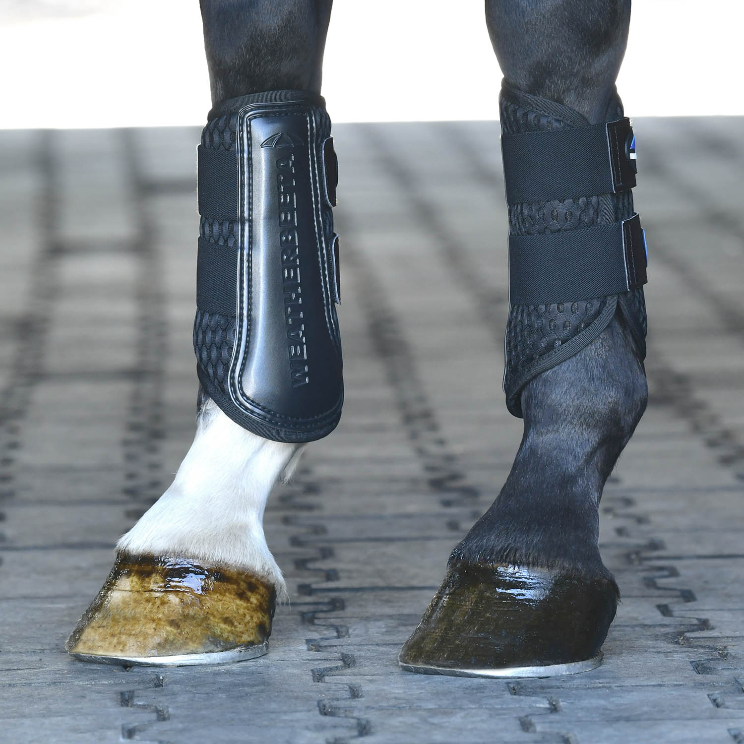 WeatherBeeta Tough-Tec Mesh Brushing Boots for Horses, 2 ct - Image 4