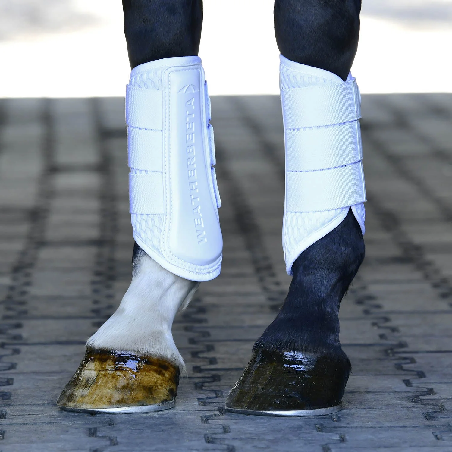 WeatherBeeta Tough-Tec Mesh Brushing Boots for Horses, 2 ct - Image 8