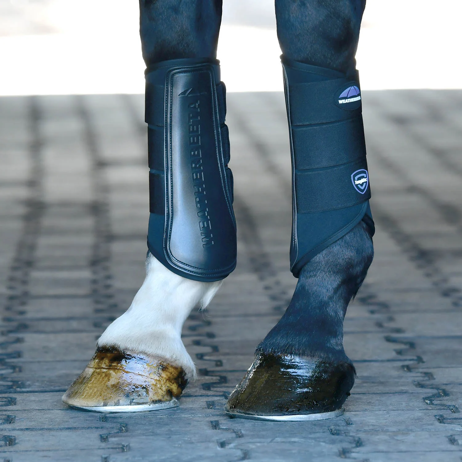 WeatherBeeta Tough-Tec Prime Brushing Boots for Horses, 2 ct - Image 4