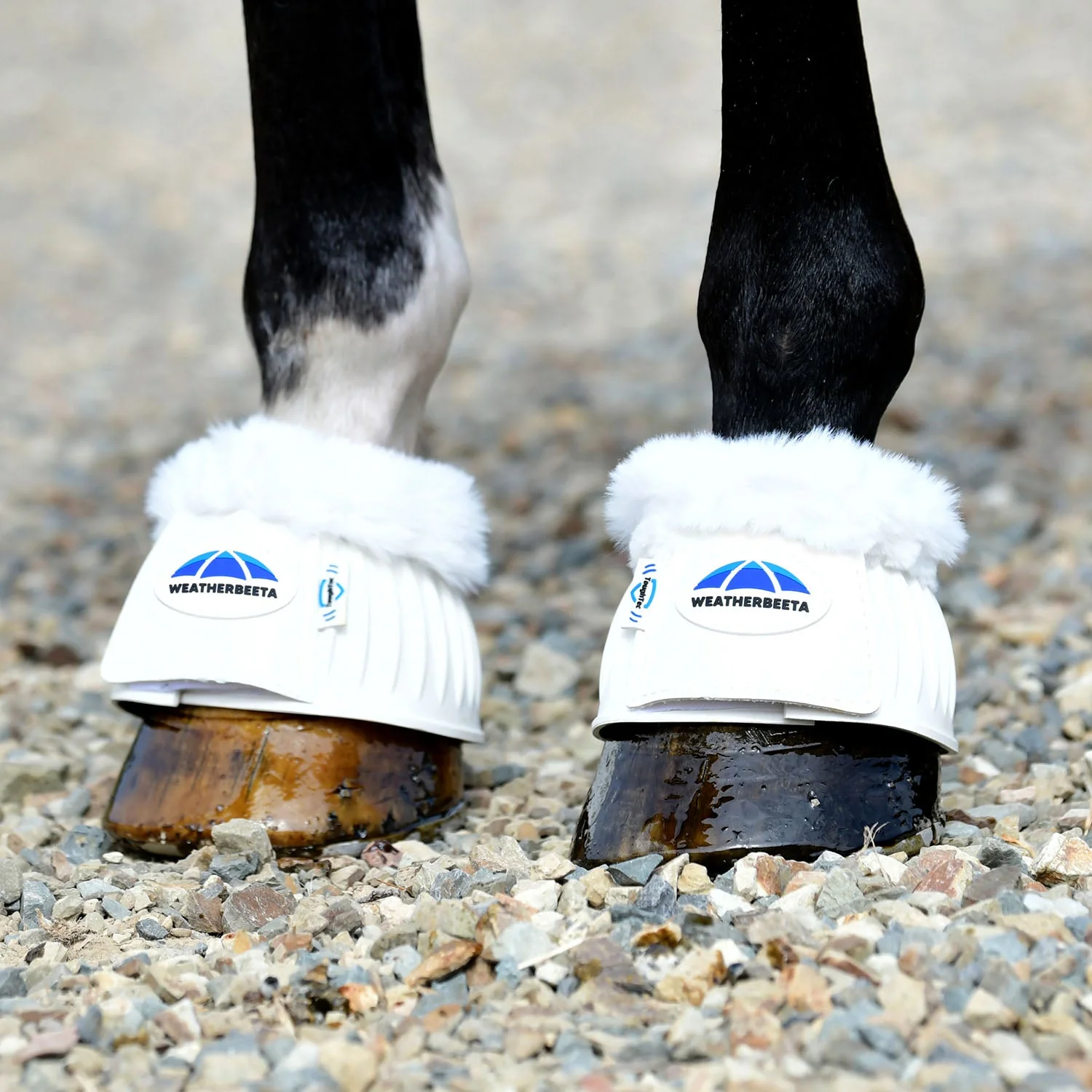 WeatherBeeta Tough-Tec Prime Fleece Trim Rubber Bell Boots for Horses - Image 39
