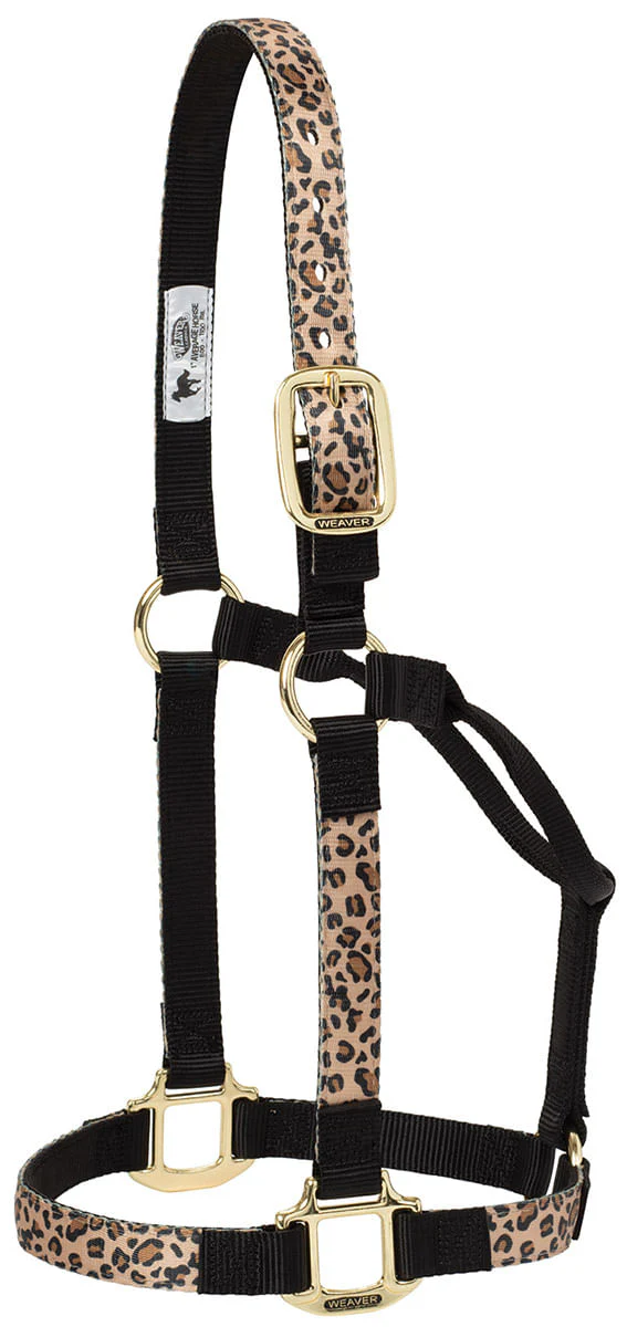 Weaver Patterned Nylon Overlay Halter for Horses - Image 3