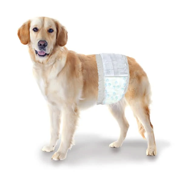 Wee-Wee Disposable Male Dog Wraps - Image 12