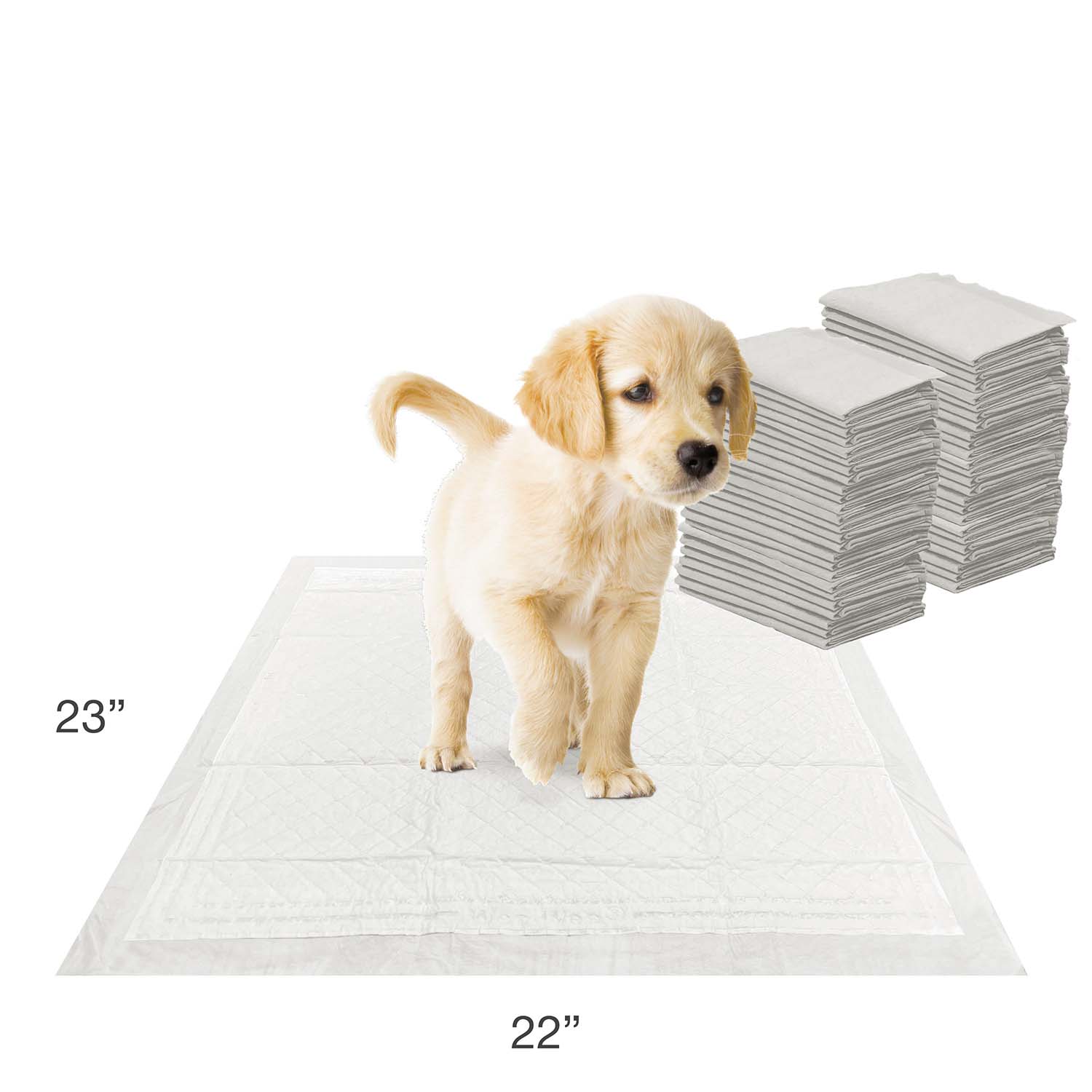 Wee-Wee Super Absorbent Dog Pee Pads with Insta-Rise Border - Image 9