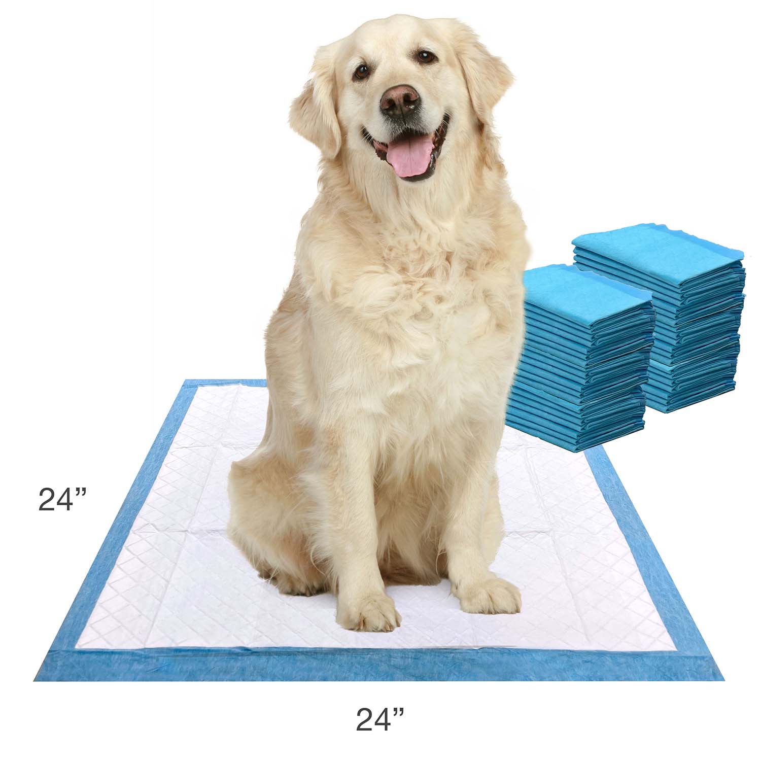 Wee-Wee Super Absorbent Pads for Dogs - Image 7