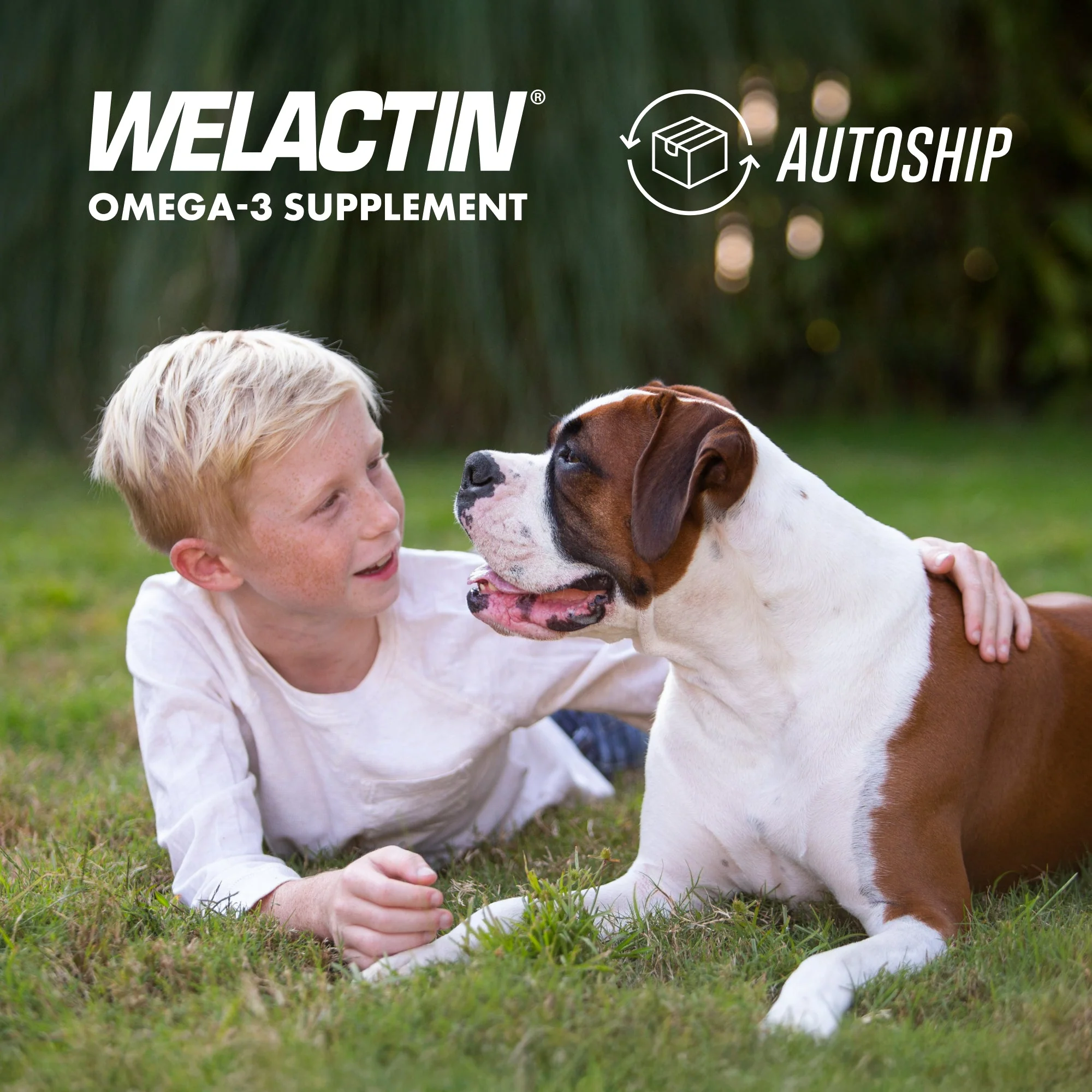 Nutramax Welactin Daily Omega-3 Supplement For Dogs, 60 Soft Chews - Image 10