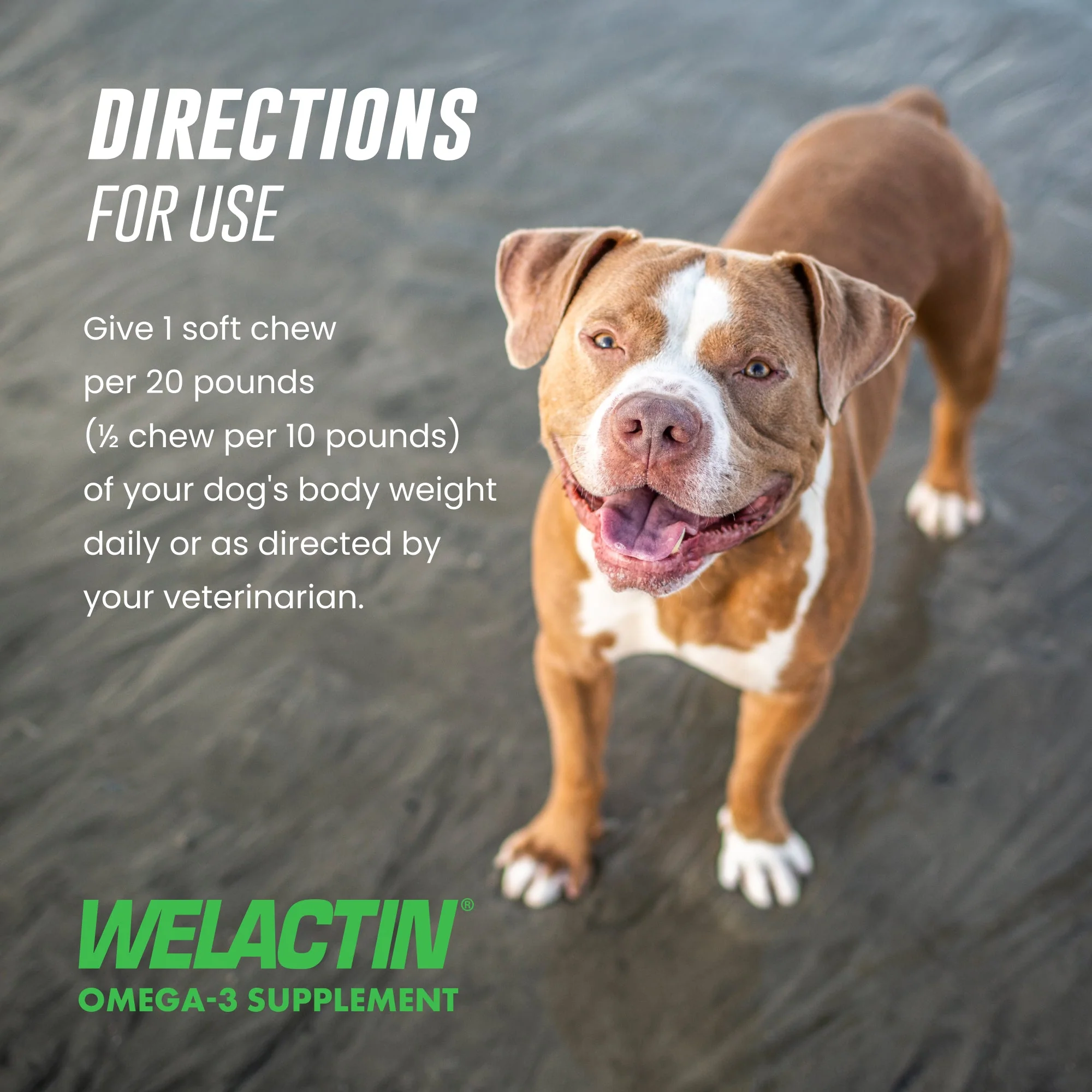 Nutramax Welactin Daily Omega-3 Supplement For Dogs, 60 Soft Chews - Image 9