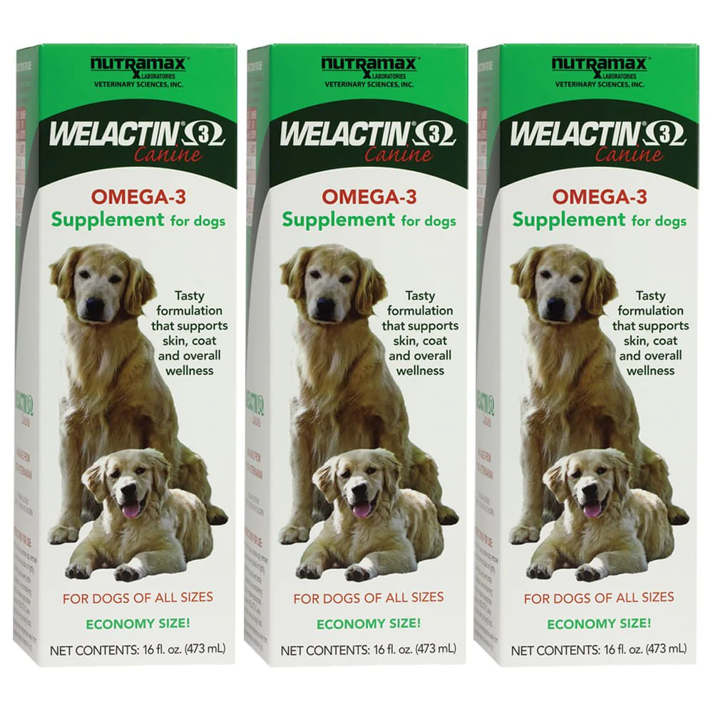 Nutramax Welactin Natural Omega-3 Liquid Skin & Coat Supplement for Dogs - Image 8