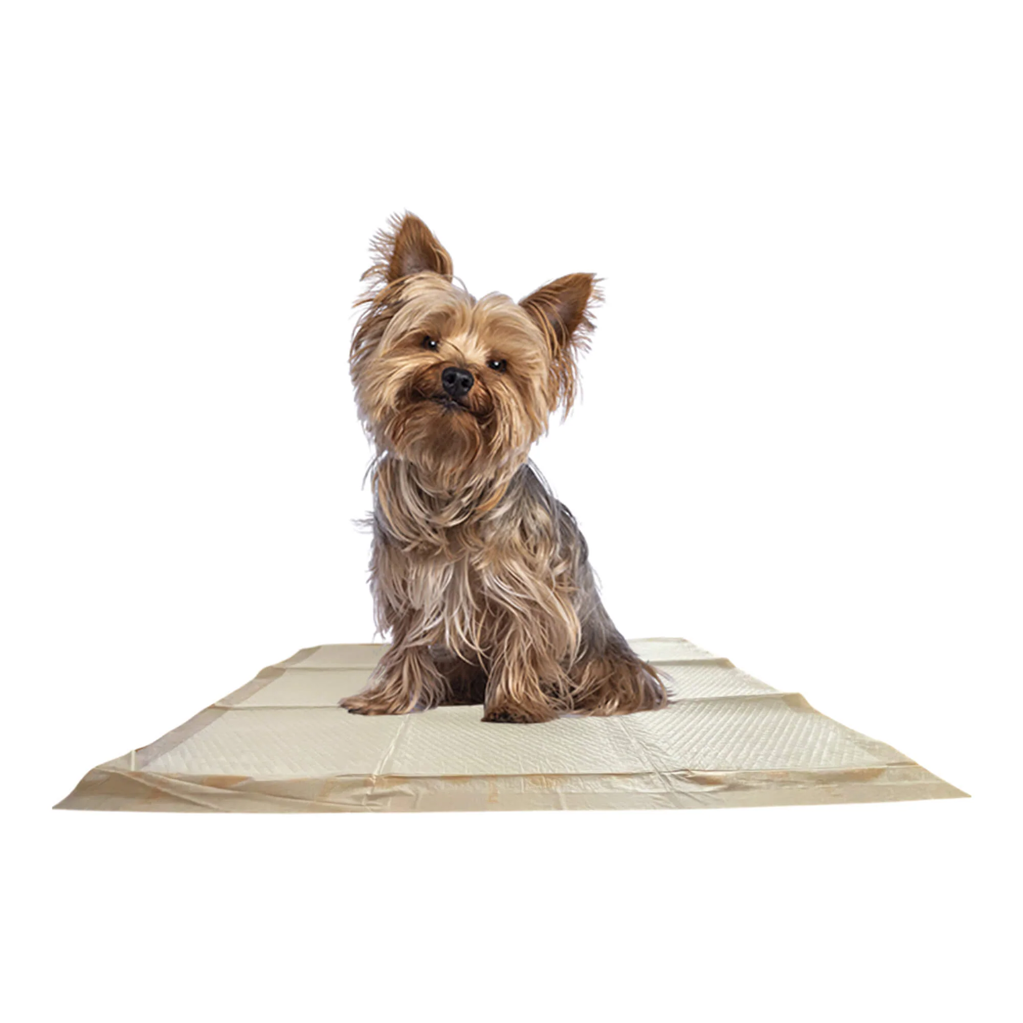 WizSmart Essentials Large Dog Training Pads for Puppies - Image 2