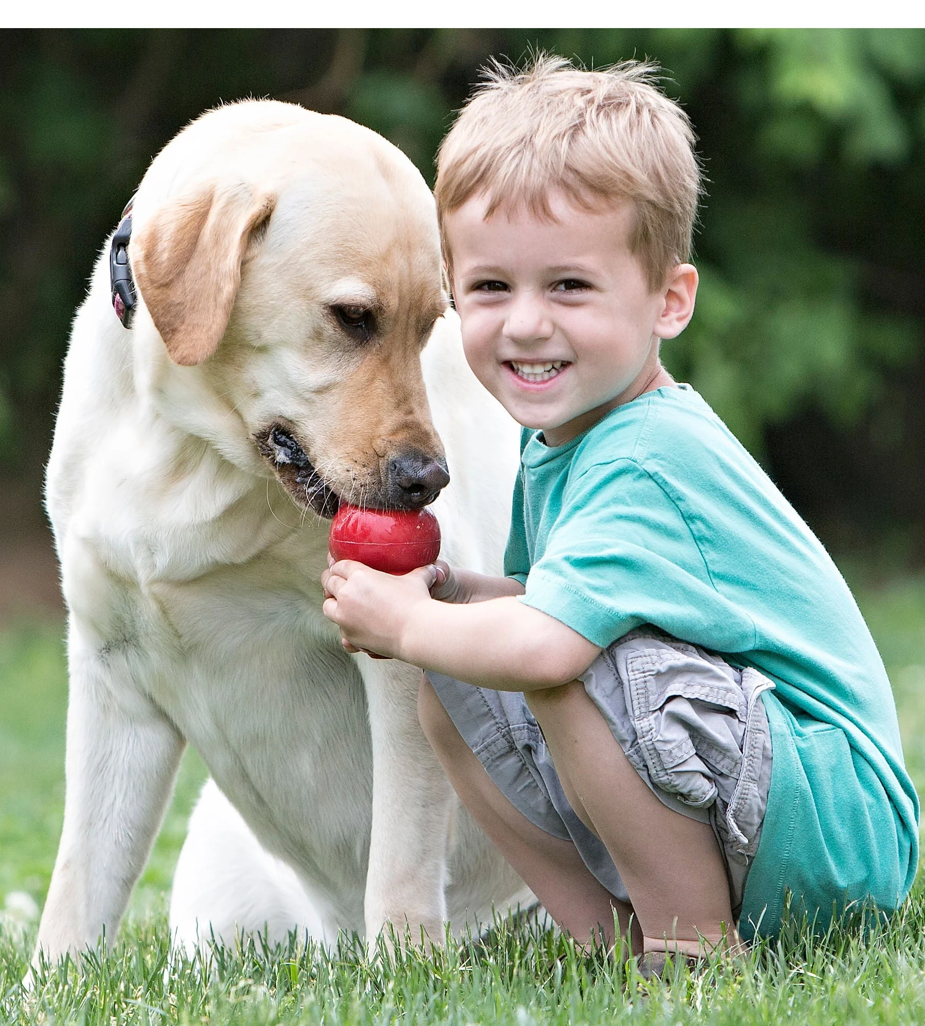 KONG Classic Dog Toy - Image 6