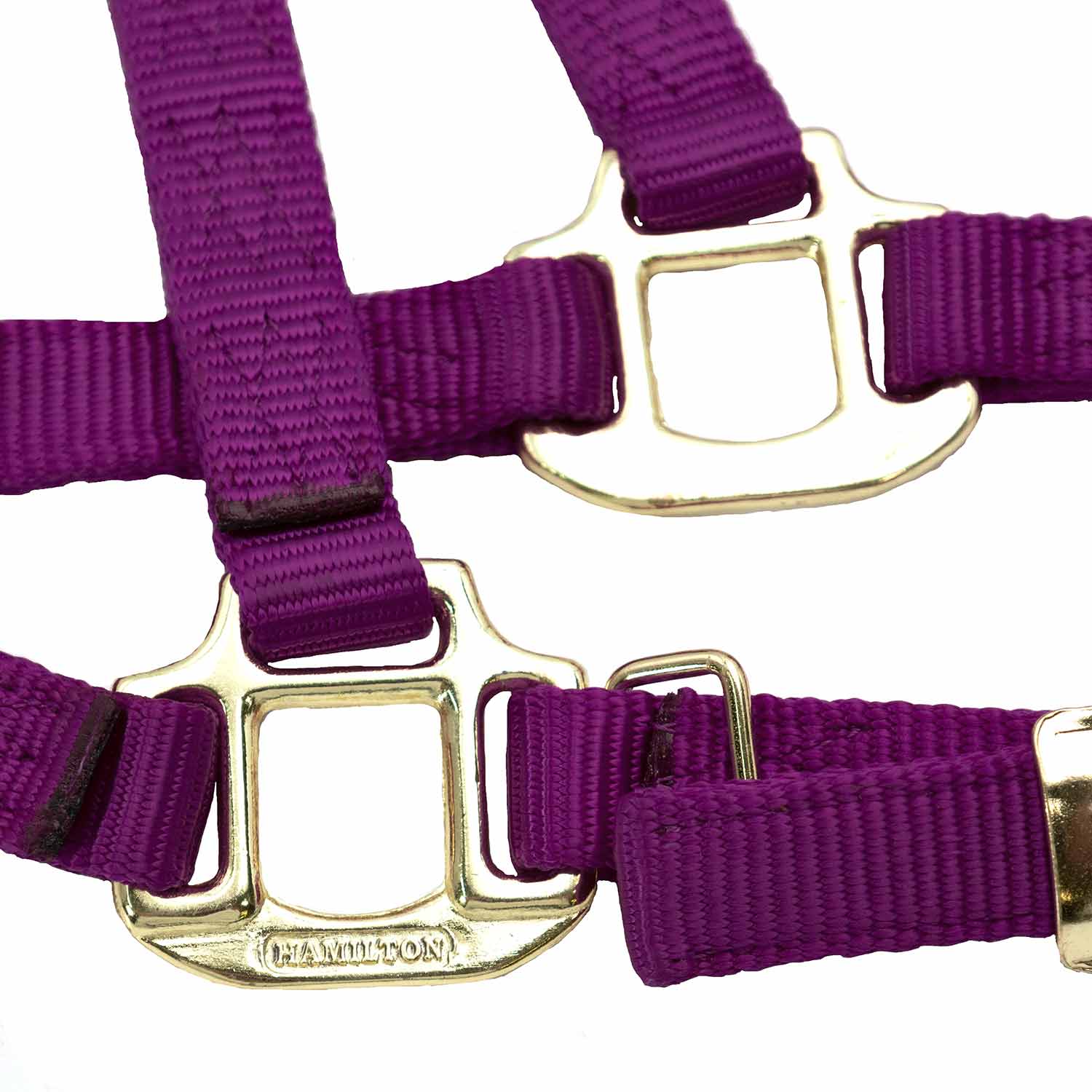 Durable Adjustable 1" Nylon Horse Halter - Image 4