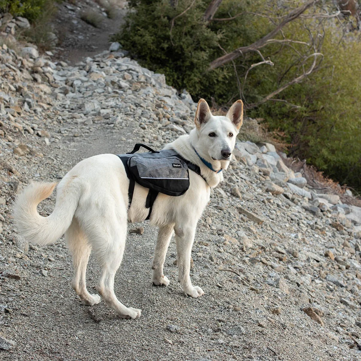 Zippy Paws Lightweight Adventure Backpack, Graphite - Image 4