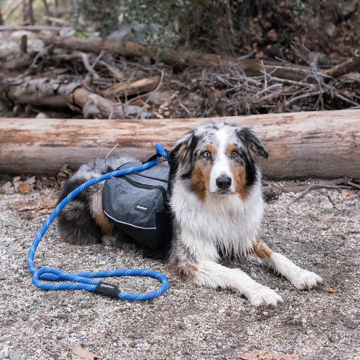 Zippy Paws Lightweight Adventure Backpack, Graphite - Image 7